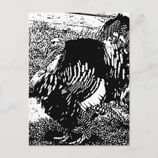 Truthahn Postkarte (Vorderseite)