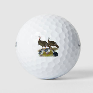 Truthahns östliche wilde Familie Golfball