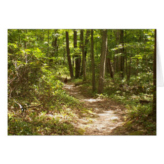 Truthühner auf dem Apfelweg