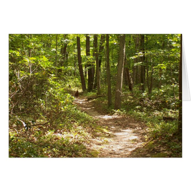 Truthühner auf dem Apfelweg (Vorderseite (Horizontal))