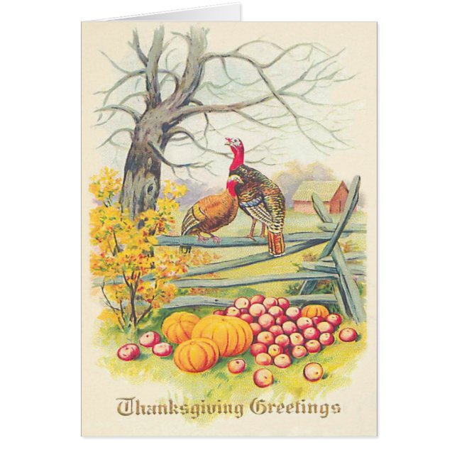 Truthühner-Pumpkinäpfel Baumäpfel Herbstlaube (Vorne)