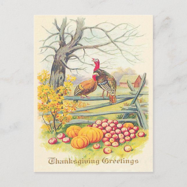 Truthühner-Pumpkinäpfel Baumäpfel Herbstlaube Postkarte (Vorderseite)