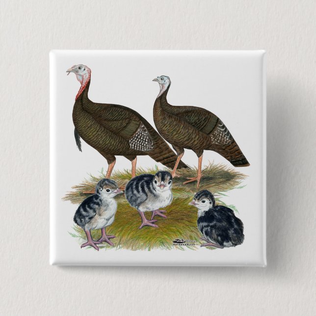 Truthühnerfamilie Eastern Wild Button (Vorderseite)