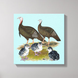 Truthühnerfamilie Eastern Wild Leinwanddruck