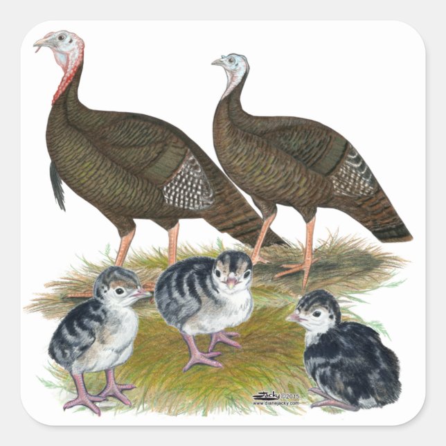 Truthühnerfamilie Eastern Wild Quadratischer Aufkleber (Vorderseite)