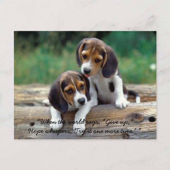 Try it one more time... postkarte (Vorderseite)