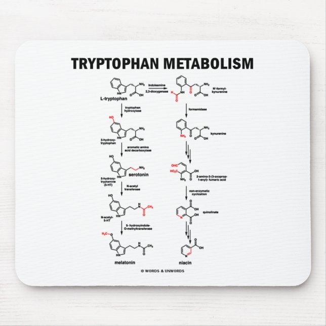 Tryptophan-Metabolismus (Chemie) Mousepad (Vorne)