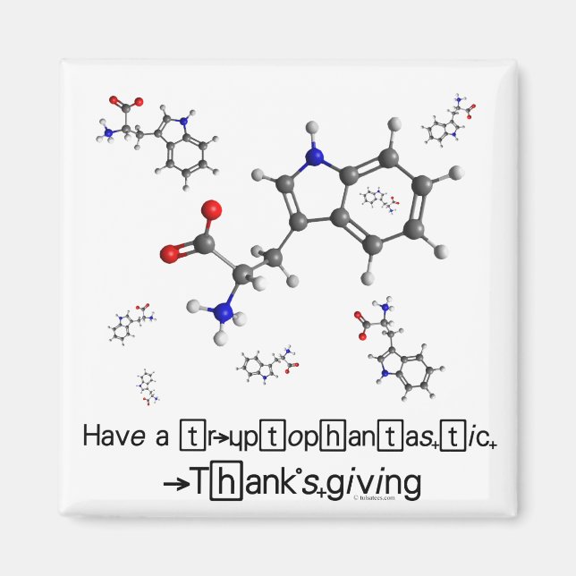 Tryptophan Molecule Magnet (Vorne)