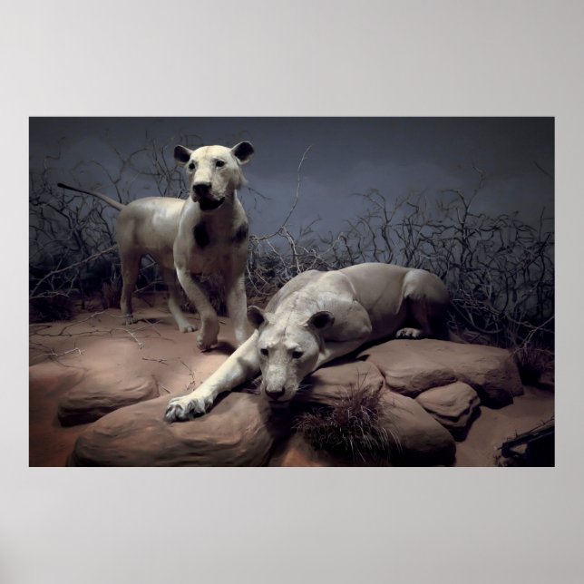 TSAVO-LÖSUNGEN POSTER (Vorne)