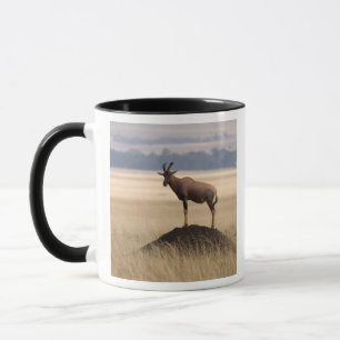 Tsessebe Antilope auf Ausblick für Fleischfresser Tasse