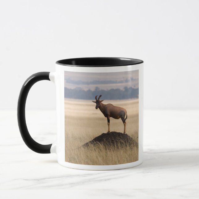 Tsessebe Antilope auf Ausblick für Fleischfresser Tasse (Links)