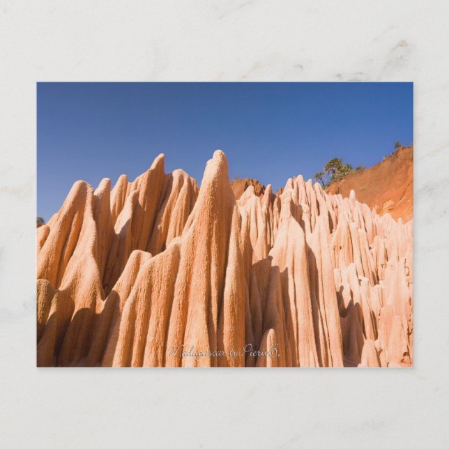 Tsingy rouges de Madagascar Postkarte (Vorderseite)