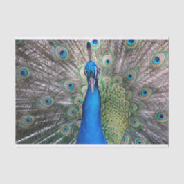TSP - 098 - Pfau - Gewebepapier Seidenpapier