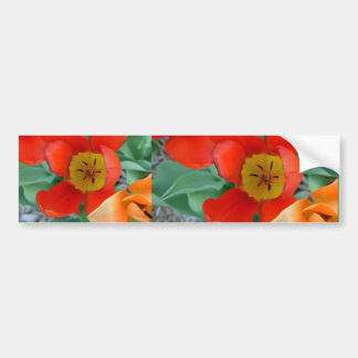 tt singen Blumen von linda' s auf 16. St. Autoaufkleber