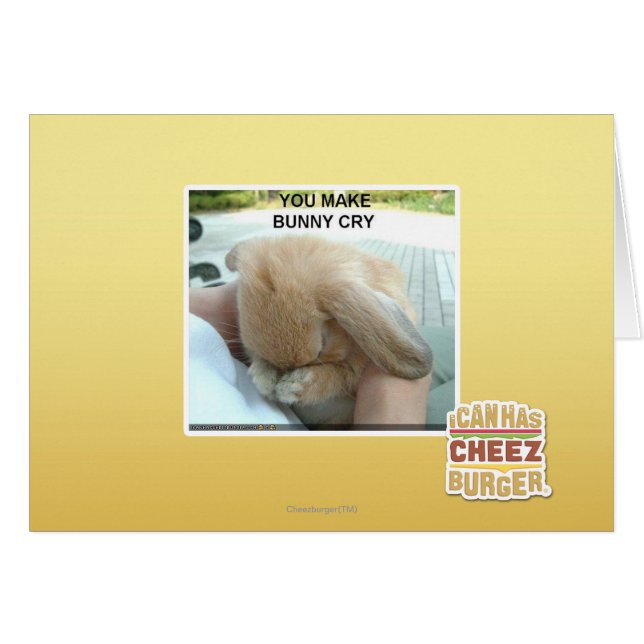 Tu fais pleurer le lapin (Devant horizontal)