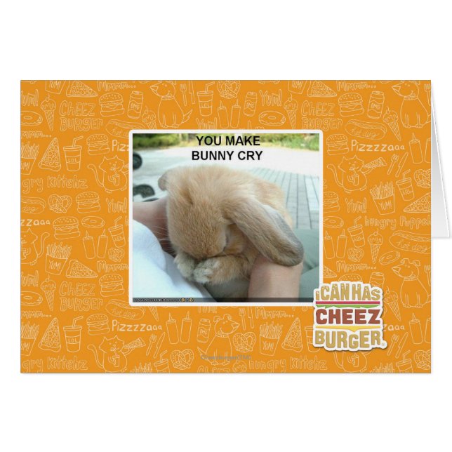 Tu fais pleurer le lapin (Devant horizontal)