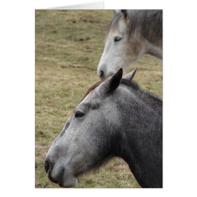 Tu M'As Fait Mais Je T'Aime Toujours (Devant)