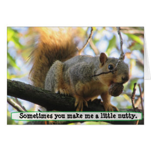 Tu me fais Nutty, Squirrel Humour Card