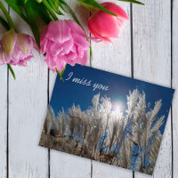 Tu me manques Carte postale