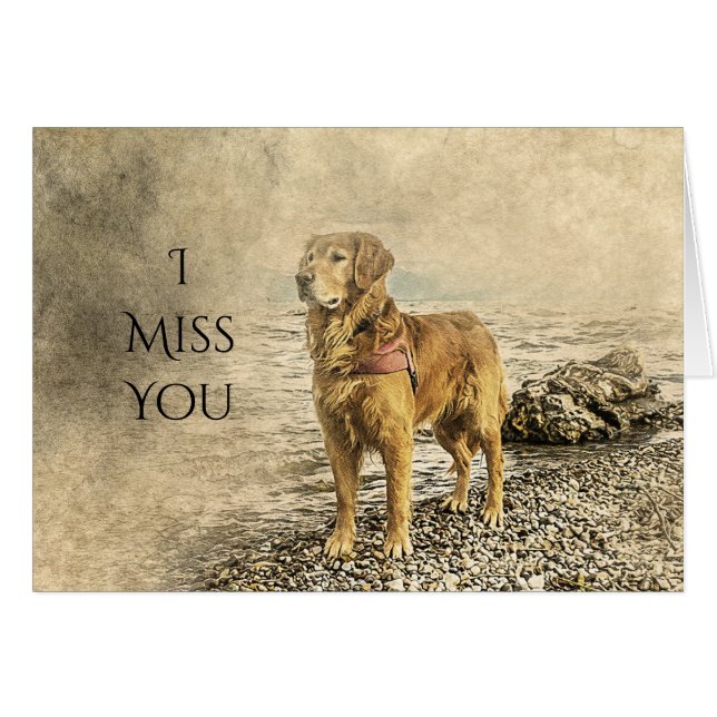 TU ME MANQUES TRISTE CHIEN (Devant horizontal)