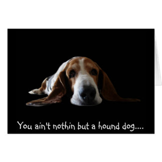 Tu n'es rien d'autre qu'un chien de chien