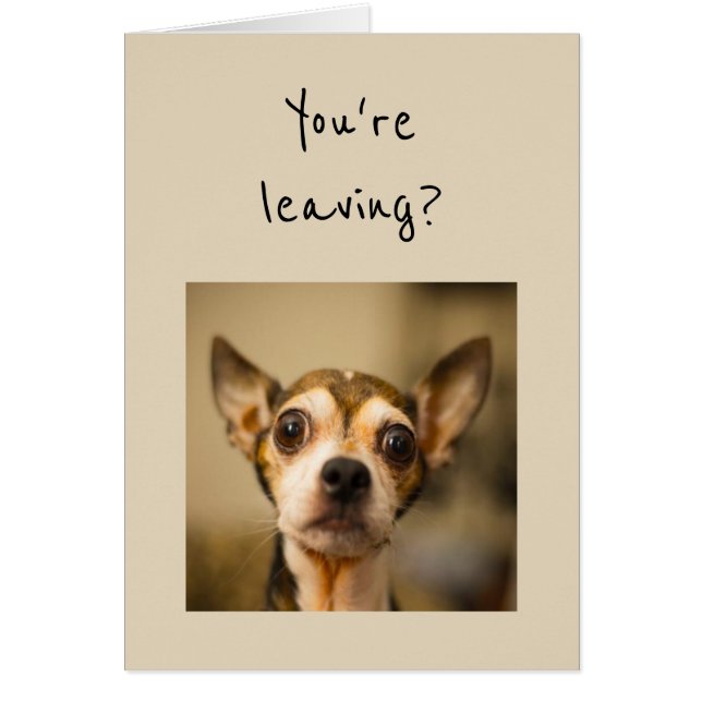 Tu pars ? Non ! Chihuahua Fun Chien (Devant)