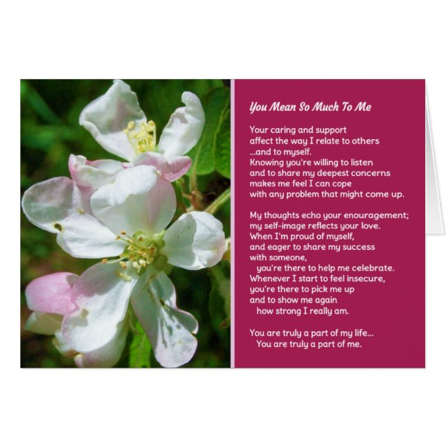 Tu Veux Dire Tant Pour Moi (Devant horizontal)