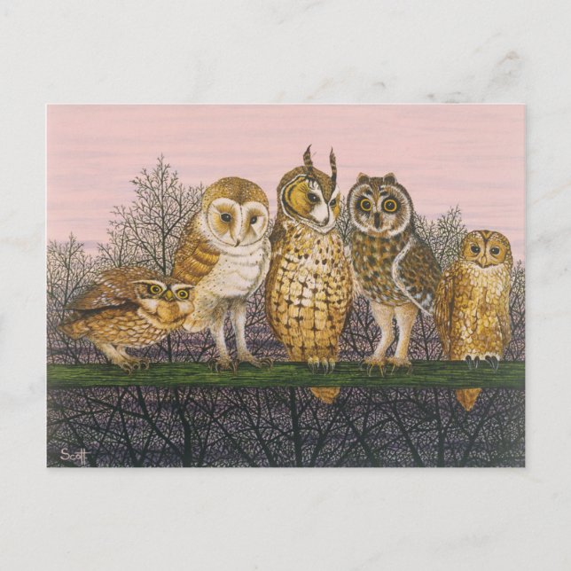 Tu-whit Tu-whowing Postkarte (Vorderseite)