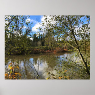 Tualatin River, Oregon Poster