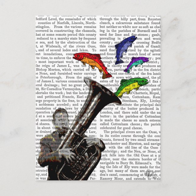 Tuba und Fisch Postkarte (Vorderseite)