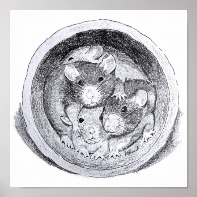 Tube Rats Poster (Vorne)