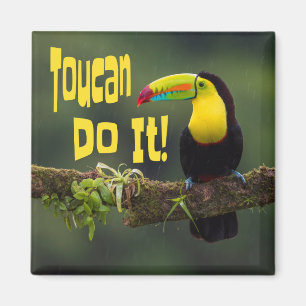 Tucan Do it! Motivierend Vogel-Funny-Pub Magnet