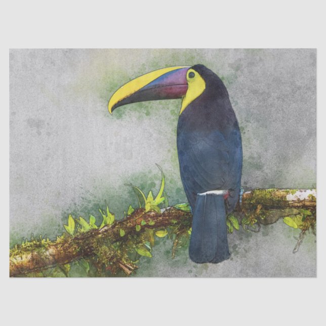 Tucan-Vogelpapier Seidenpapier (Vorderseite)