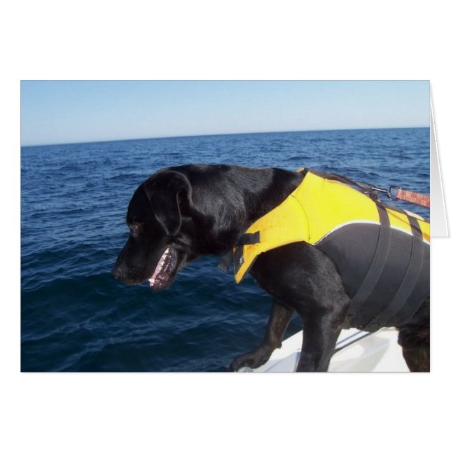 Tucker an den Arbeits-Erhaltungs-Hunden Labrador (Vorderseite (Horizontal))