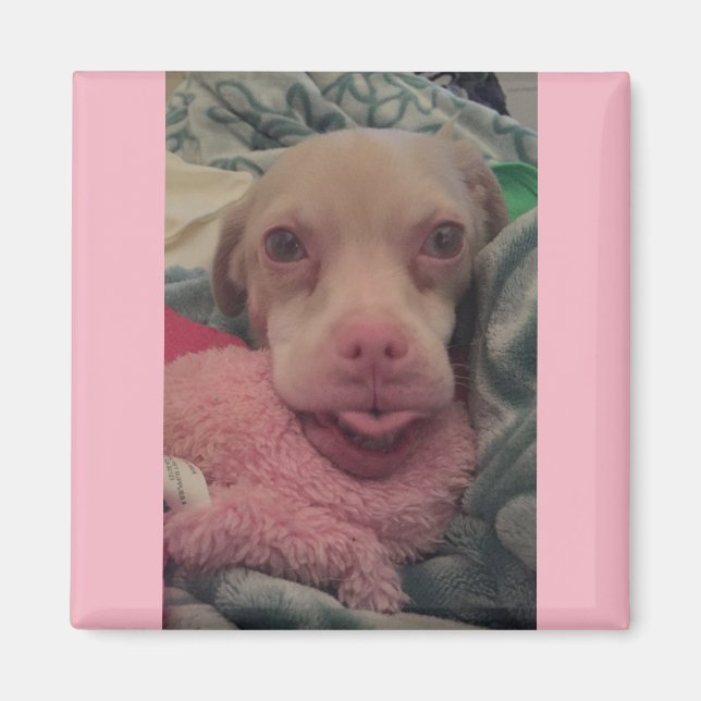 Tucker porte des lunettes Aimant à Accent rose (Devant)