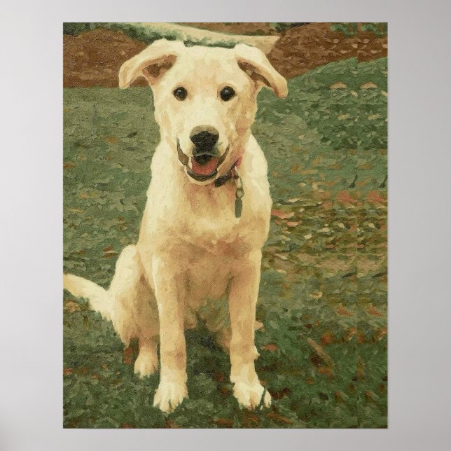 Tucker  poster (Vorne)