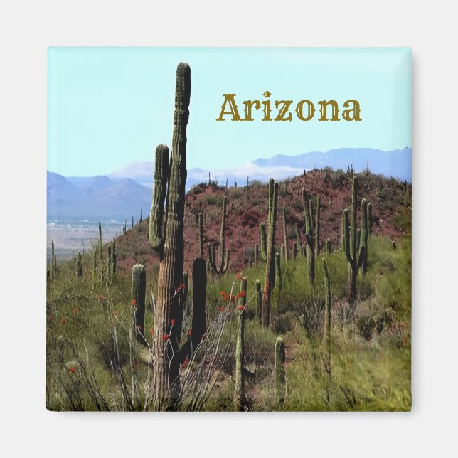 Tucson Arizona Magnet (Vorne)