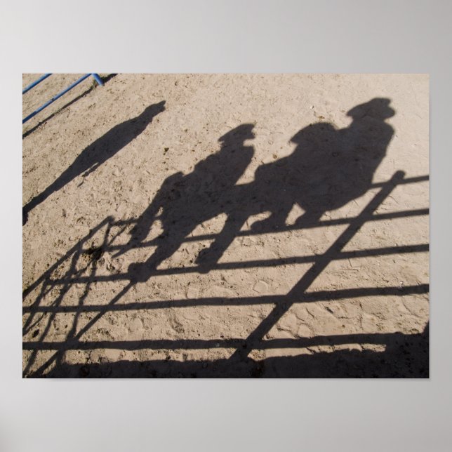 Tucson, Arizona: Schatten der Konkurrenten von Rod Poster (Vorne)