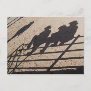 Tucson, Arizona: Schatten von Rodeo-Teilnehmern Postkarte