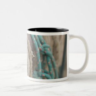 Tucson, Arizona: Seile und Geschirre verwendet auf Zweifarbige Tasse