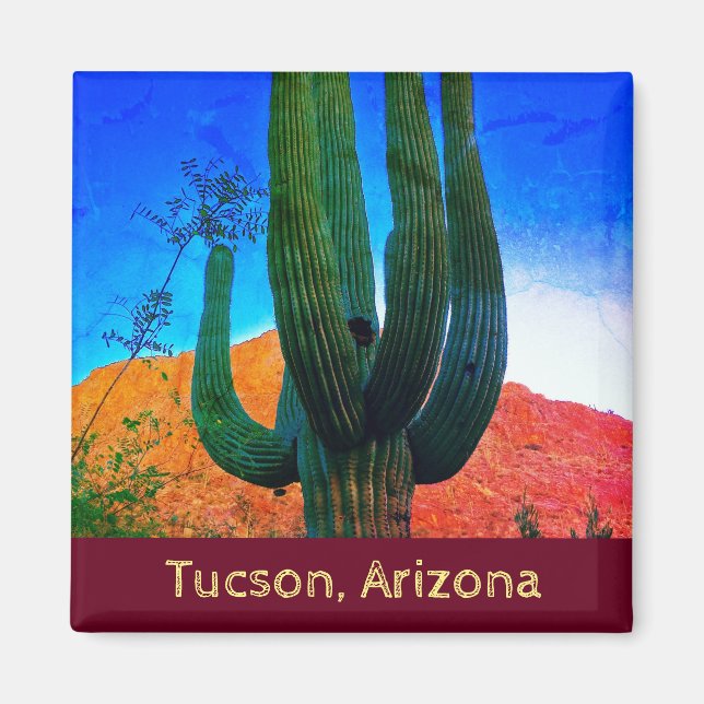 Tucson, Arizona Wüste Cactus Magnet (Vorne)