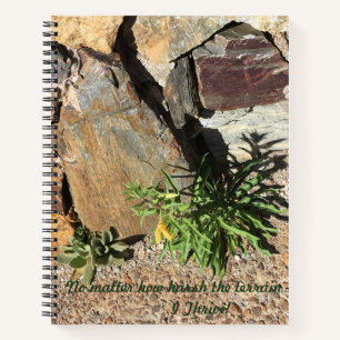 Tucson-Mt Lemmon Notizbuch
