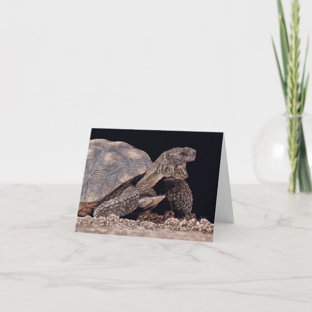 "Tucson Yawn" - Carte Tortue du désert (Devant)