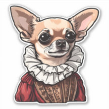 Tudor Chihuahua