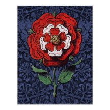 Tudor Rose Rot und Weiß