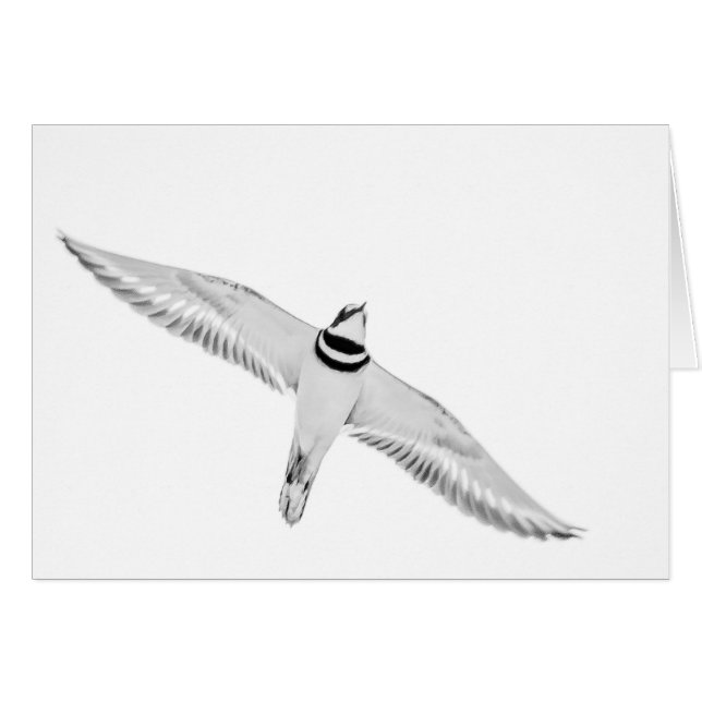 Tueur en flammes (Devant horizontal)