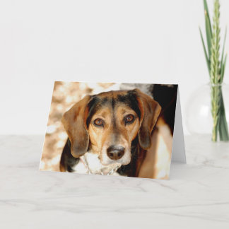 Tuffy, die Beaglemischung Karte