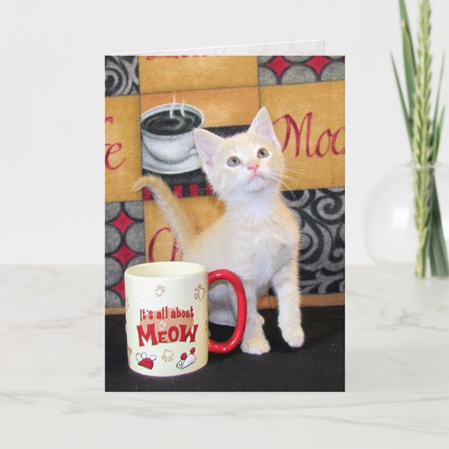 Tuffy McDuffs Mocha Dream Cat Birthday Card Karte (Vorderseite)