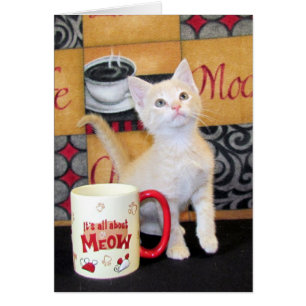 Tuffy McDuffs Mokka-Traum
