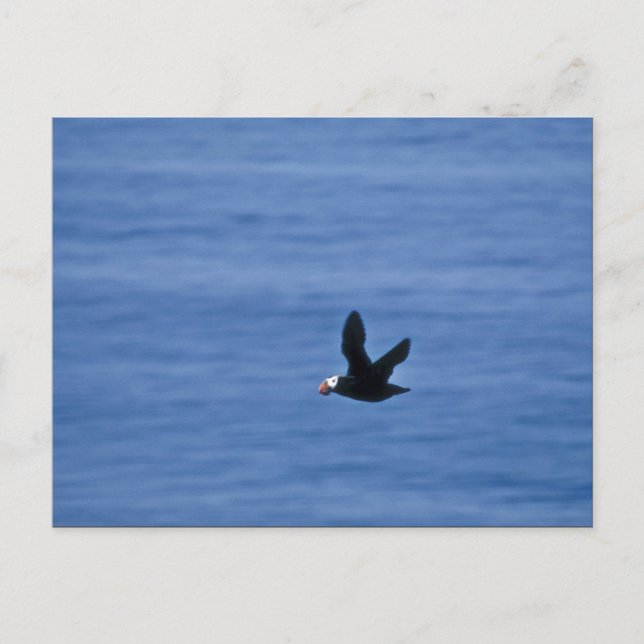Tufin im Flug Postkarte (Vorderseite)
